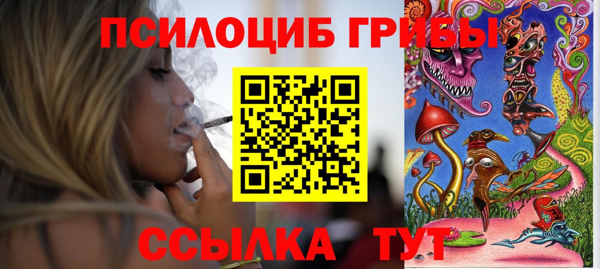 Псилоцибиновые грибы Cubensis Фурманов