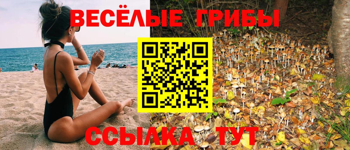 Галлюциногенные грибы мухоморы  Вход с VPN  Фурманов 